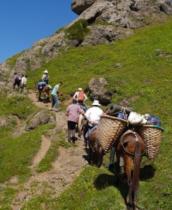 Day 3: The Muleteer Odyssey (then overnight in Cómpeta)